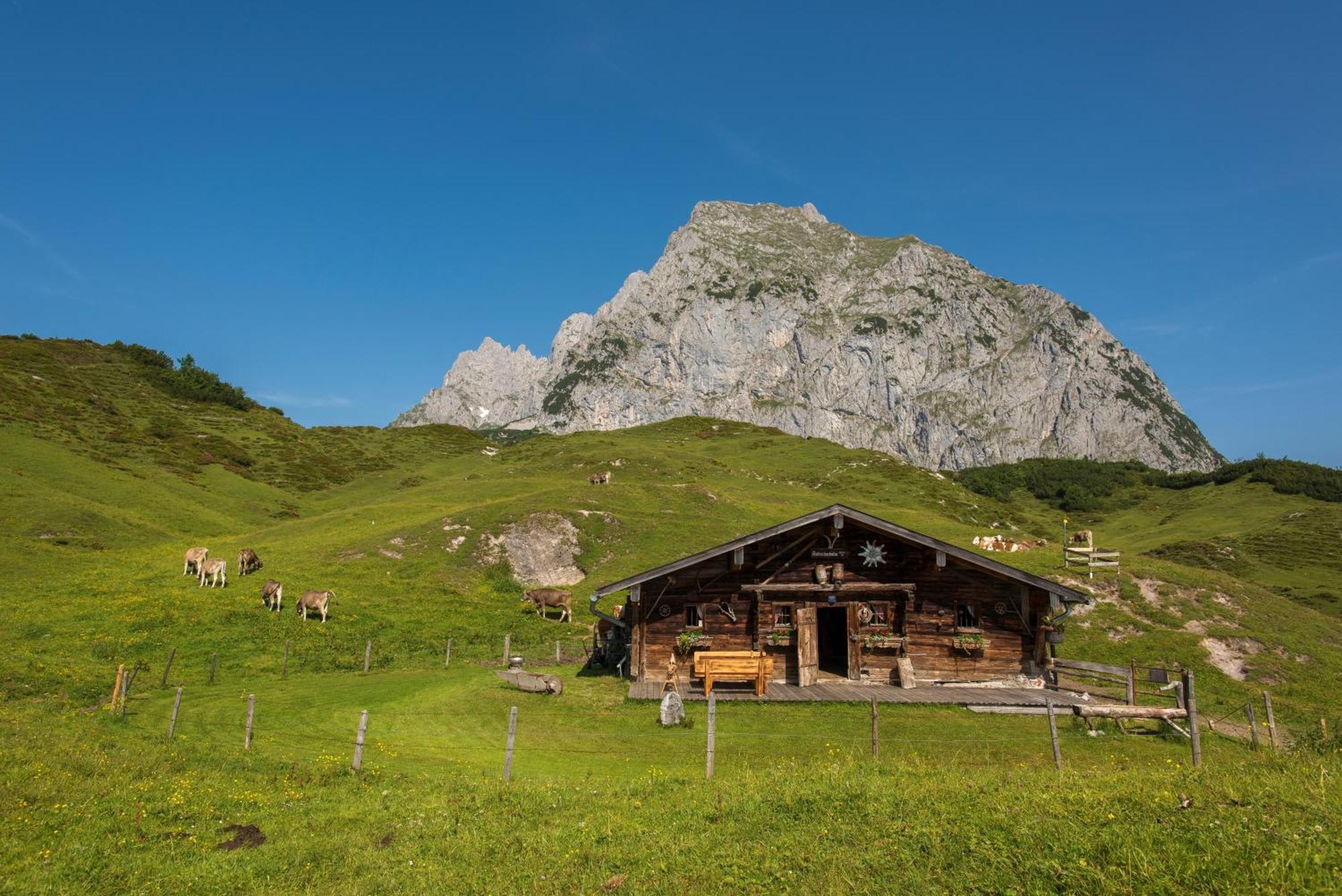 Cooee Alpin Hotel Kitzbueheler Alpen Санкт-Йоганн Экстерьер фото